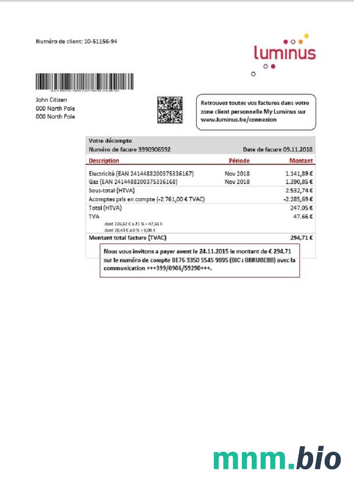 Belgia Luminus rachunek za media szablon w formacie Word i PDF (w .doc i .Format pdf)